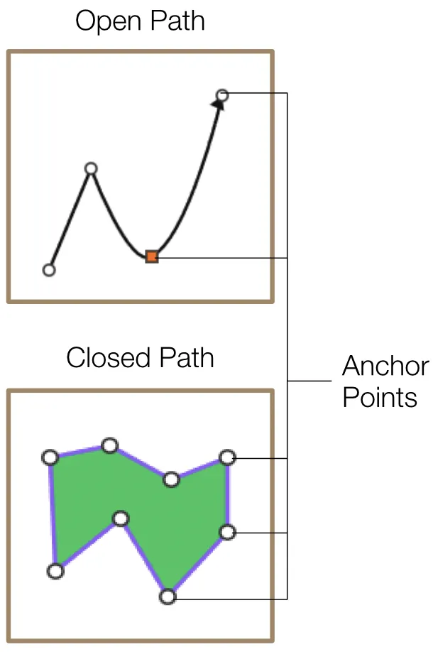 Pen tool creating vector paths with anchor points and vector shapes on the canvas